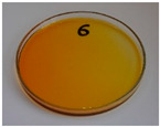 Figure 33