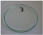 Figure 34