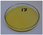 Figure 35