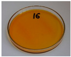 Figure 37