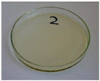 Figure 38