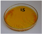 Figure 40