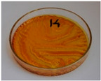 Figure 41
