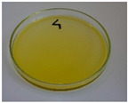 Figure 42