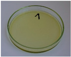 Figure 43