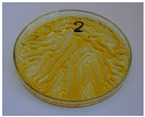 Figure 44