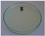 Figure 48