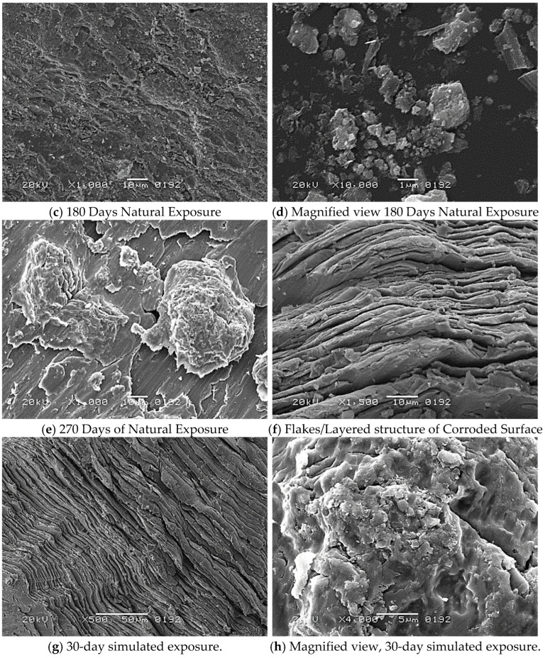 Figure 19