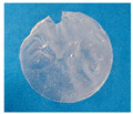 Figure 8