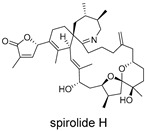 Figure 19