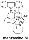Figure 21