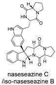 Figure 29