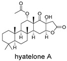 Figure 34