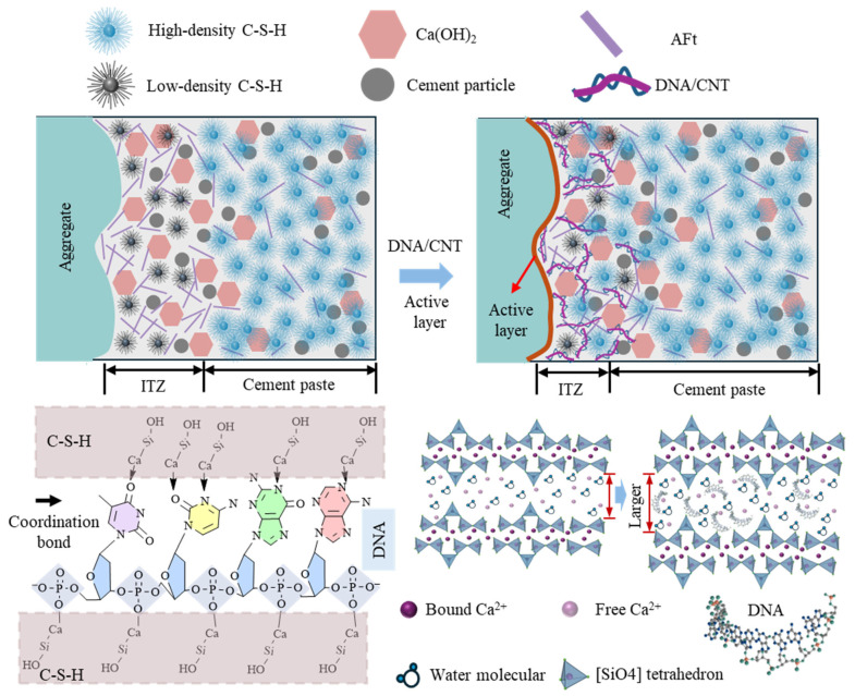 Figure 24