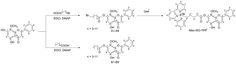 Figure 13