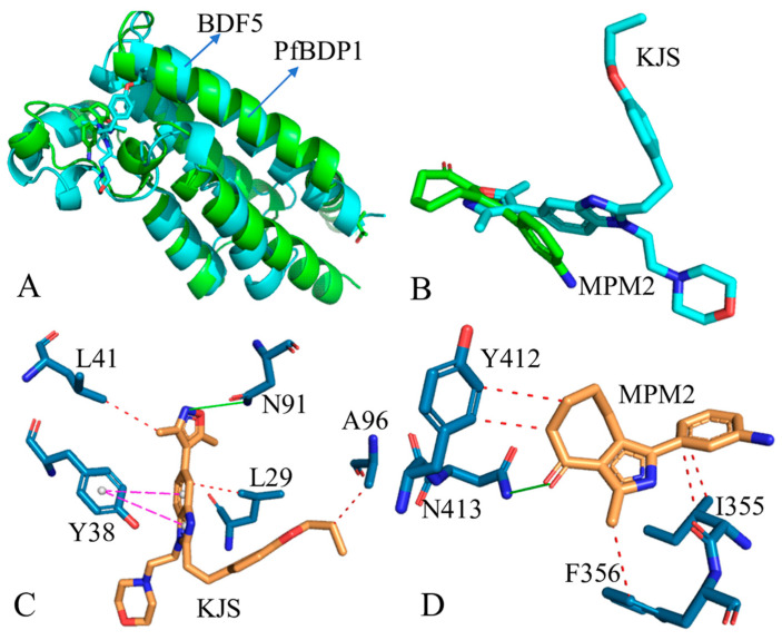 Figure 5