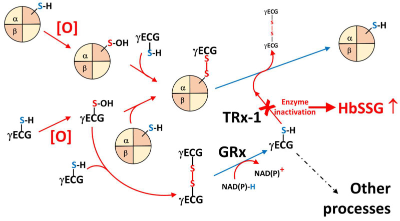 Figure 9