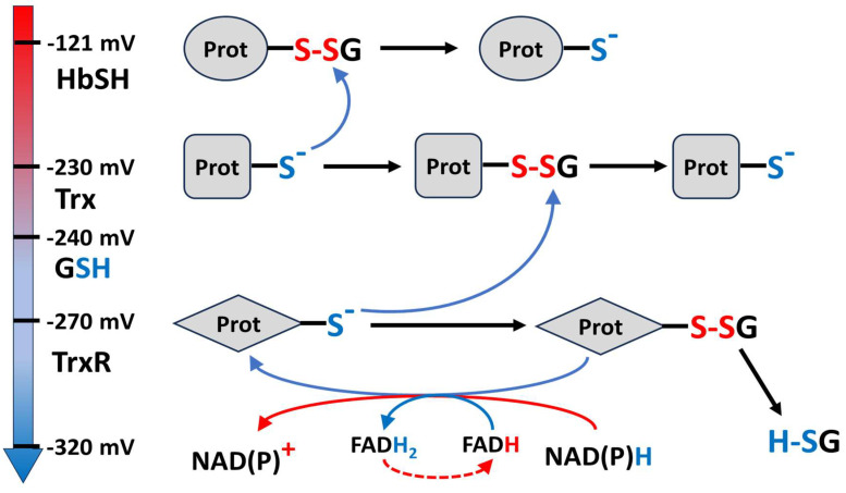 Figure 11