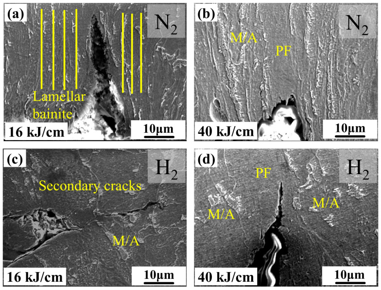 Figure 14