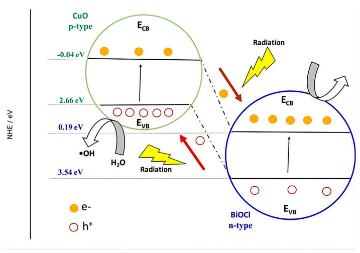 Figure 8