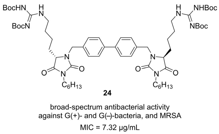 Figure 24