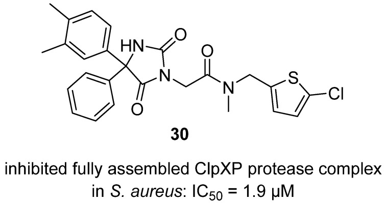 Figure 29