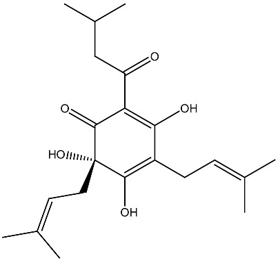 Figure 19