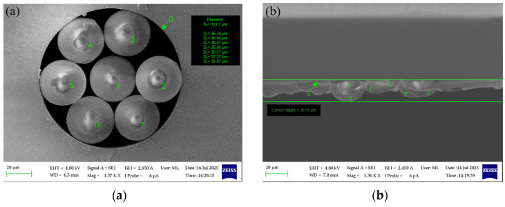 Figure 12