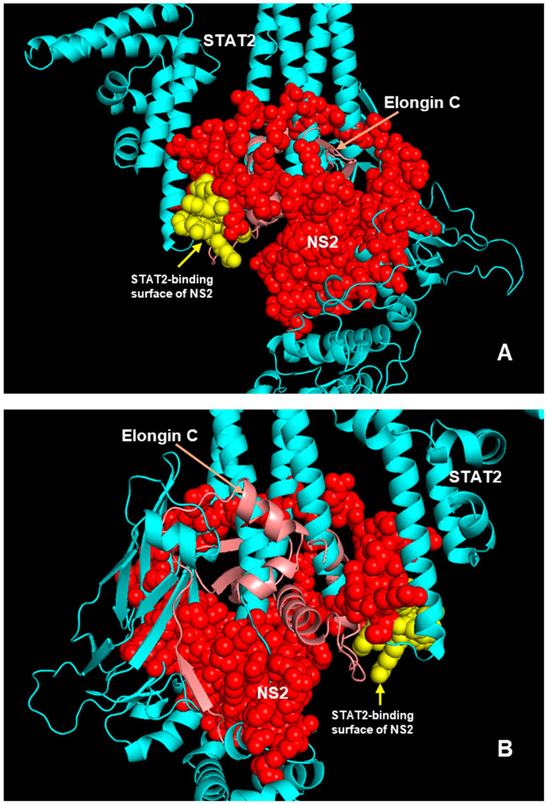 Figure 10