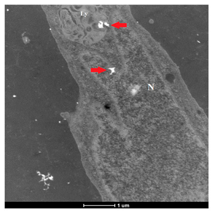 Figure 16