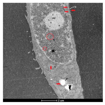 Figure 23