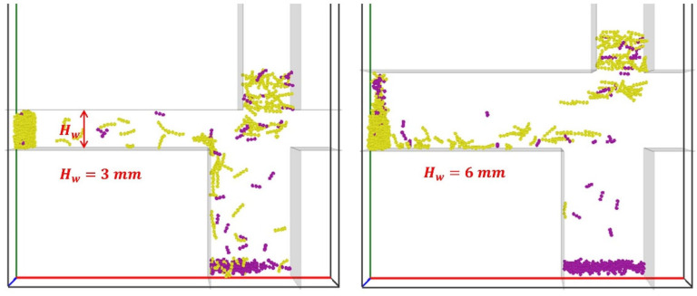Figure 20