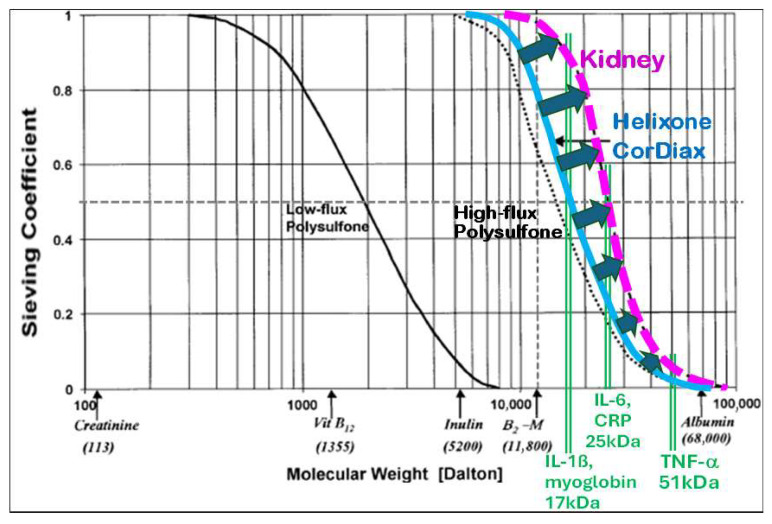 Figure 19