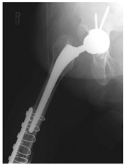 Figure 24