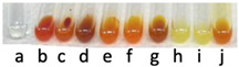 Figure 20