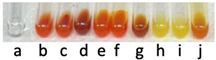 Figure 25
