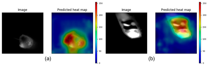 Figure 13