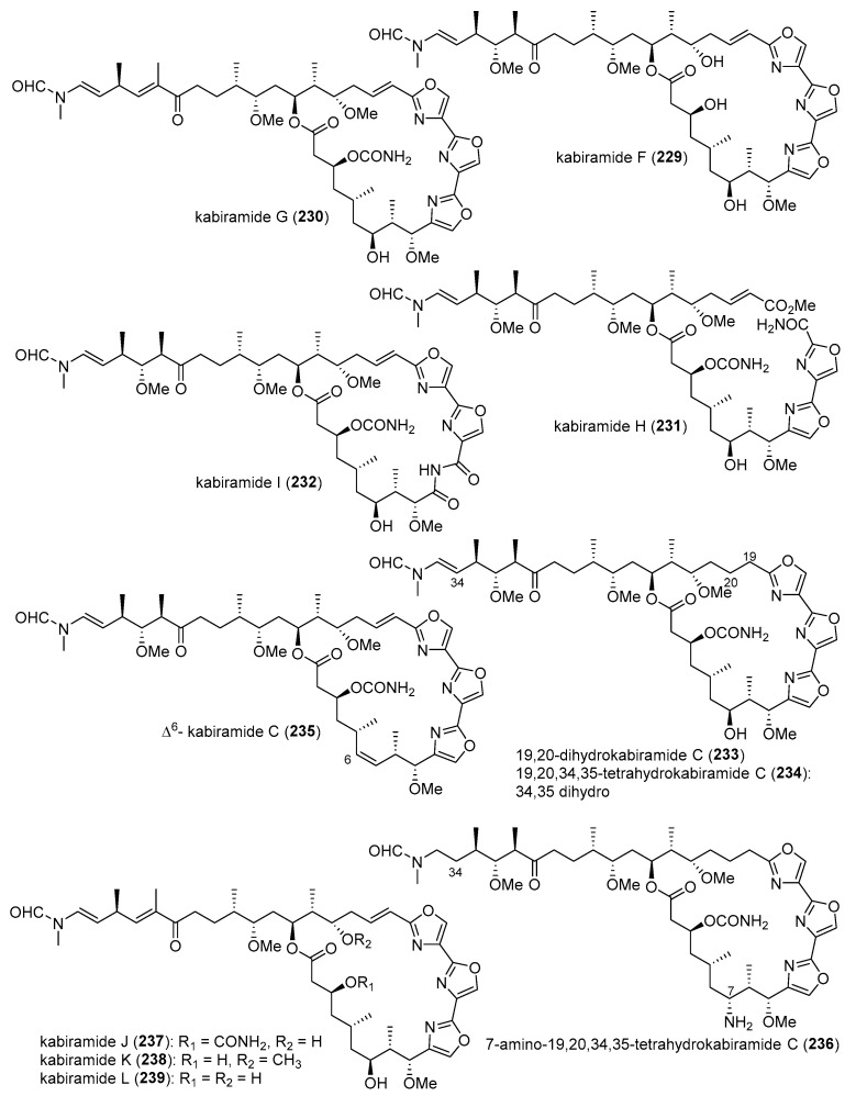 Figure 24