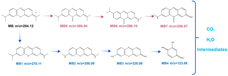 Figure 12