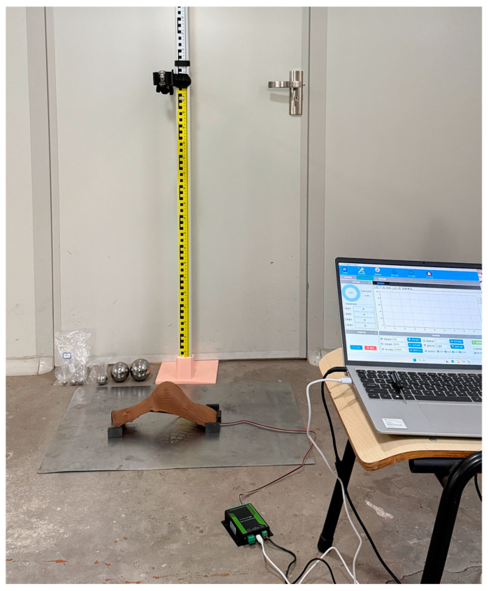 Figure 11
