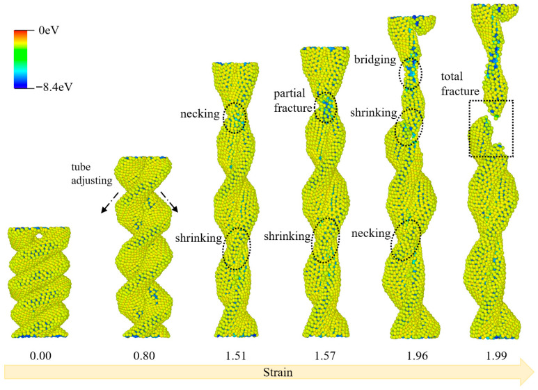Figure 8