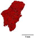 Figure 25
