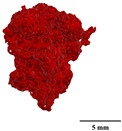 Figure 27