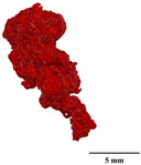 Figure 28
