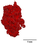 Figure 29