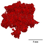 Figure 30