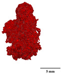 Figure 32