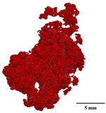 Figure 33