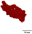 Figure 34