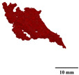 Figure 35